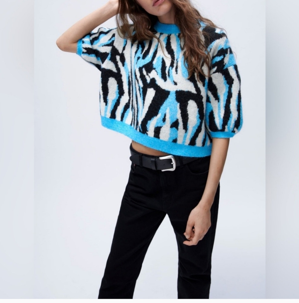 Zara Animal Print Short Sleeve Oversized Cropped Sweater